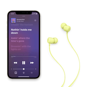 Bluetooth Earphone Flex